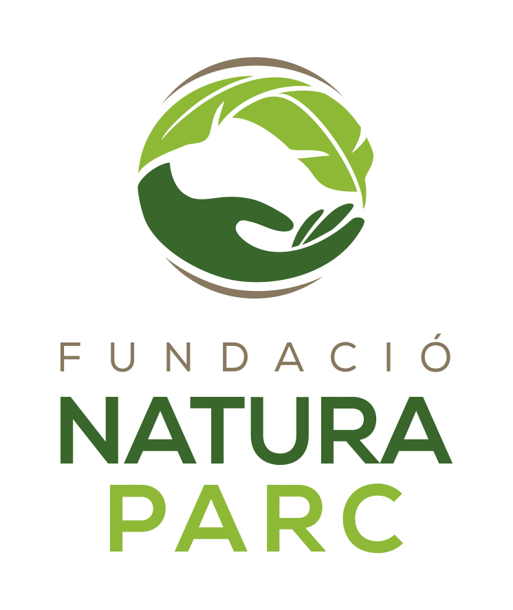 Benvinguts/Bienvenidos | CEPAD